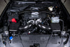 2024 2025 Ford Mustang GT & Dark Horse Carbon Fiber Intake System