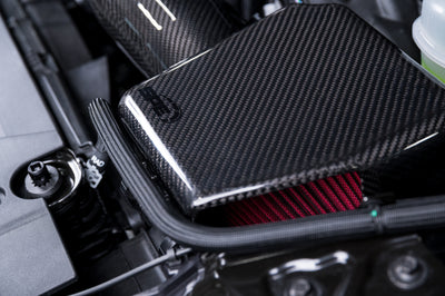 2024 2025 Ford Mustang GT & Dark Horse Carbon Fiber Intake System