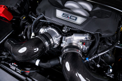 2024 2025 Ford Mustang GT & Dark Horse Carbon Fiber Intake System